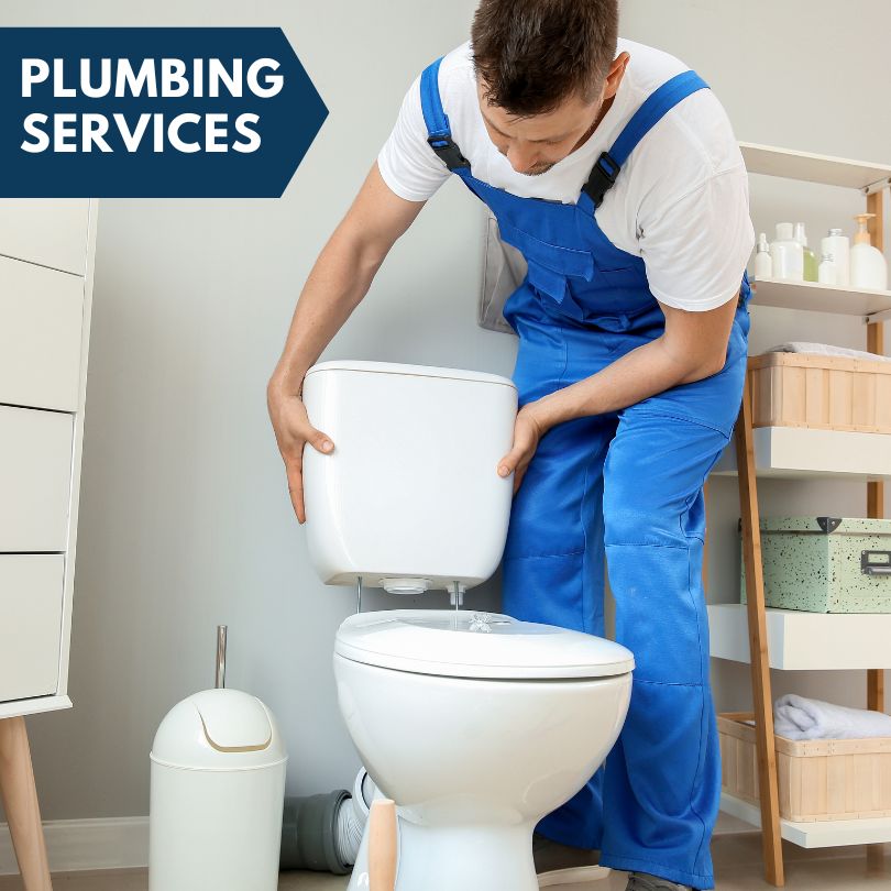 Plumbing Company in Yankeetown, FL